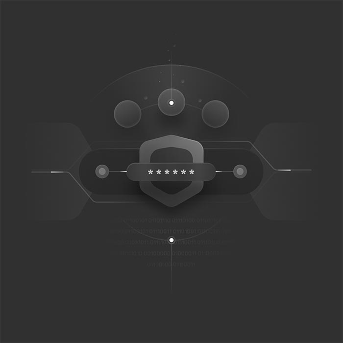 Robust security and audit compliance interface